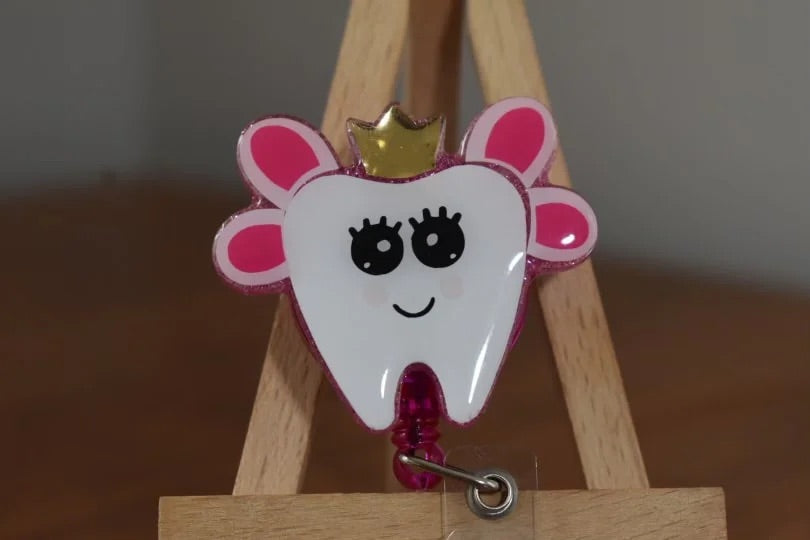 Tooth fairy badge